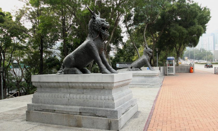 香港城市大学优势专业