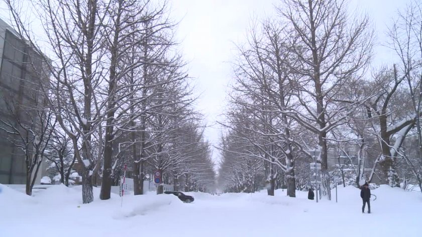 北海道大学院校数据